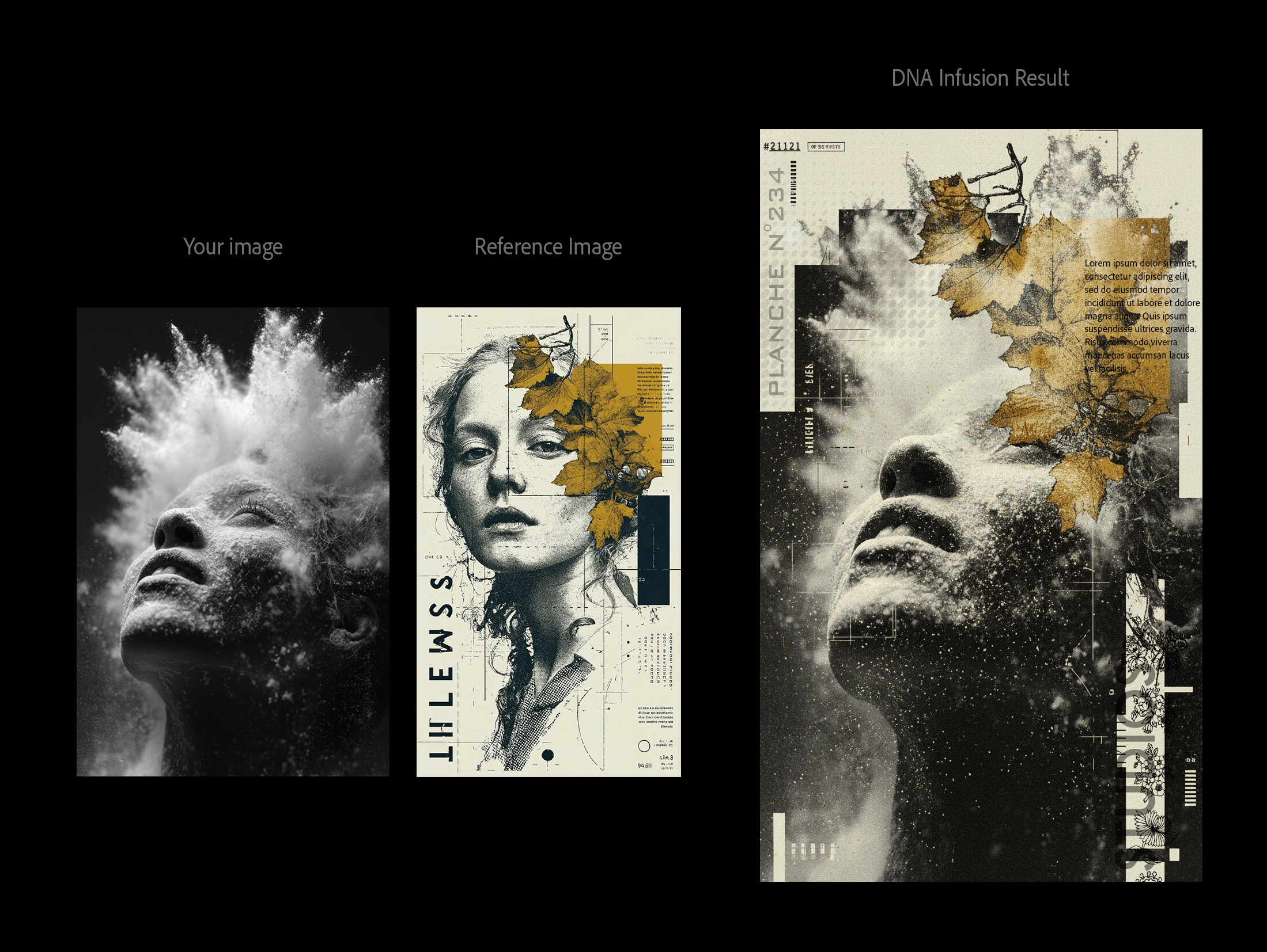 ADN Infusion — Transplantation de style