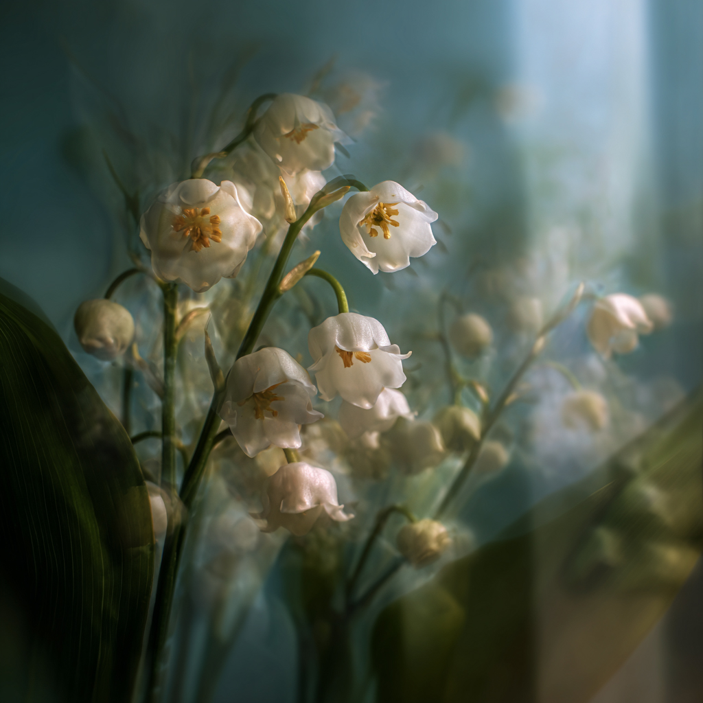 THE FLORILEGIUM — Hortensia composition