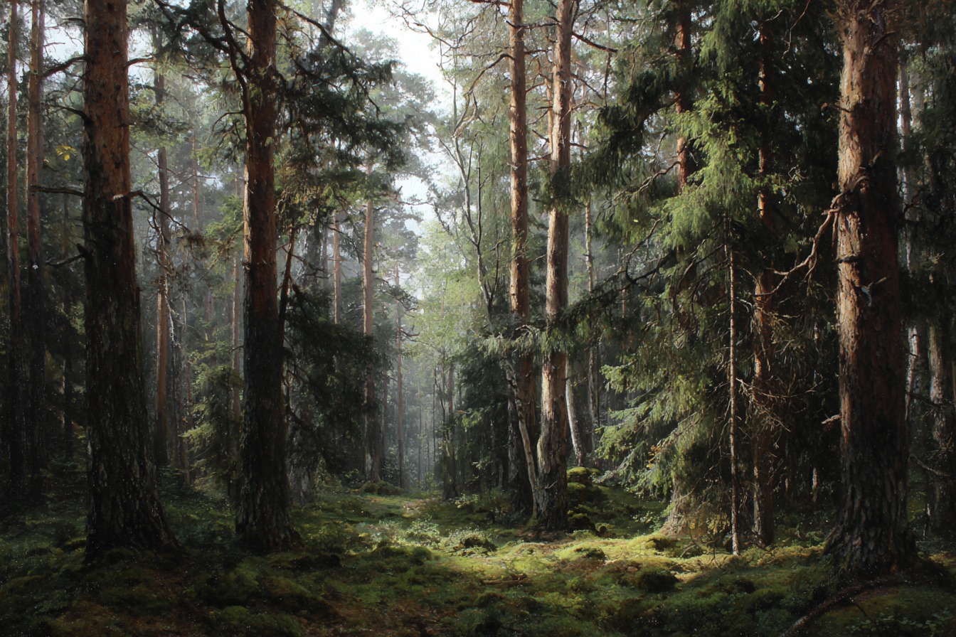 À la manière de Ivan Shishkin
