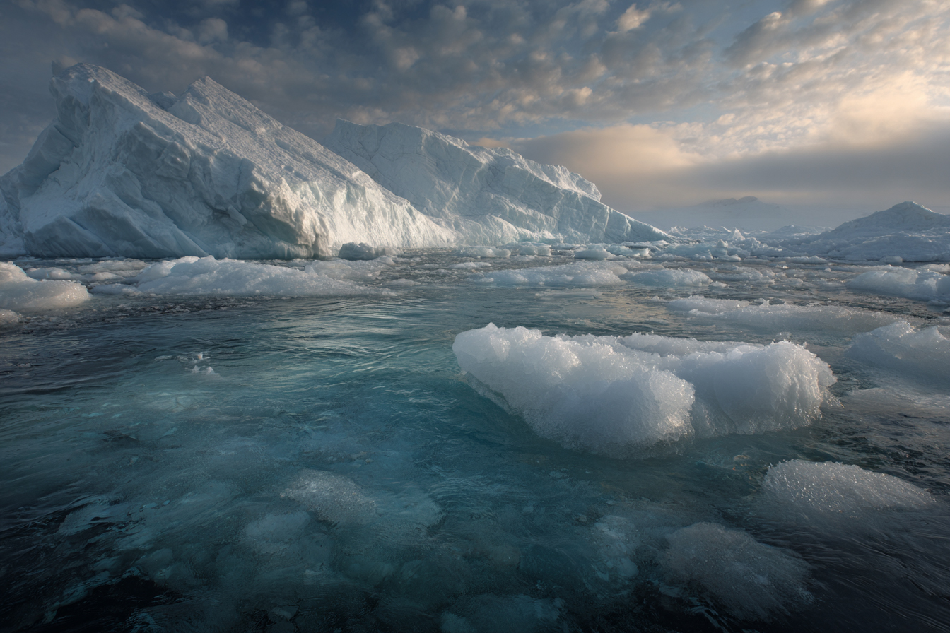 À la manière de Paul Nicklen