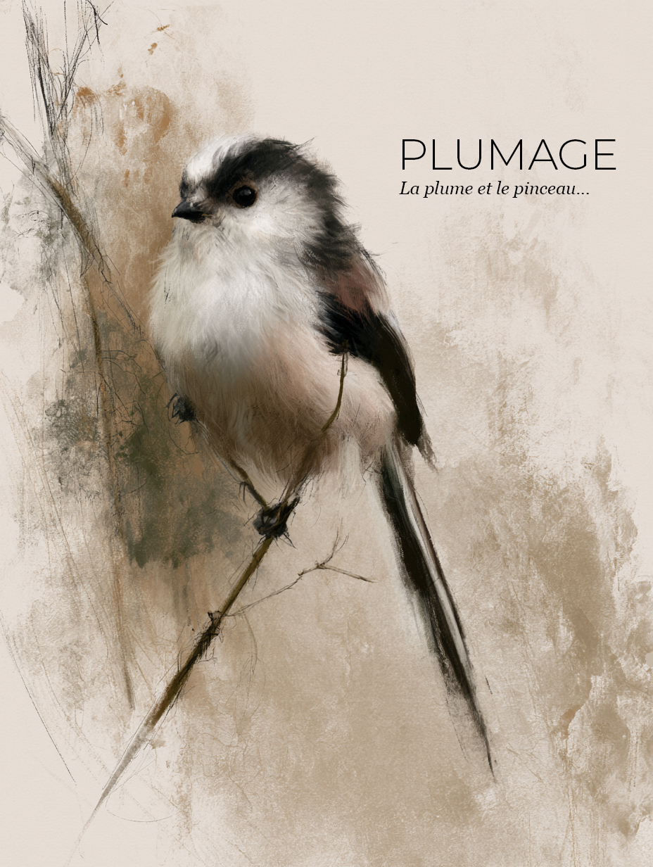 PLUMAGE — Couverture flipbook, mésange à longue queue en esquisse peinte
