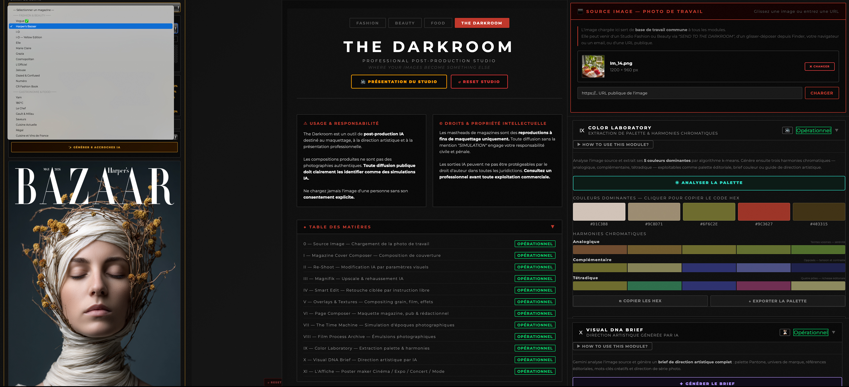 Interface complète The Darkroom avec modules ouverts